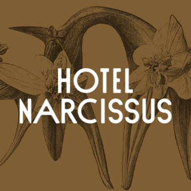 Hotel Narcissus: Coming Soon